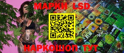 спайс Берёзовский