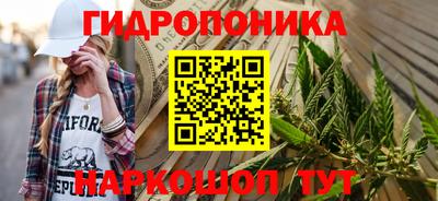 спайс Берёзовский