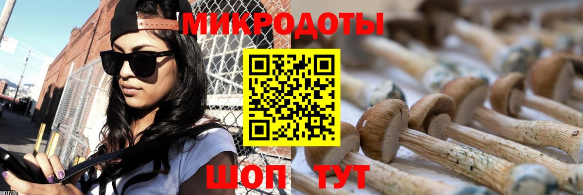 Псилоцибиновые грибы мицелий Кашира